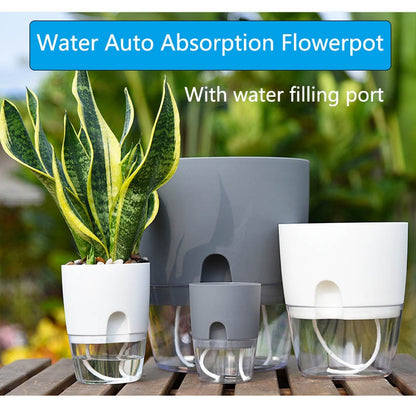 Transparent  Self Watering Flowerpot