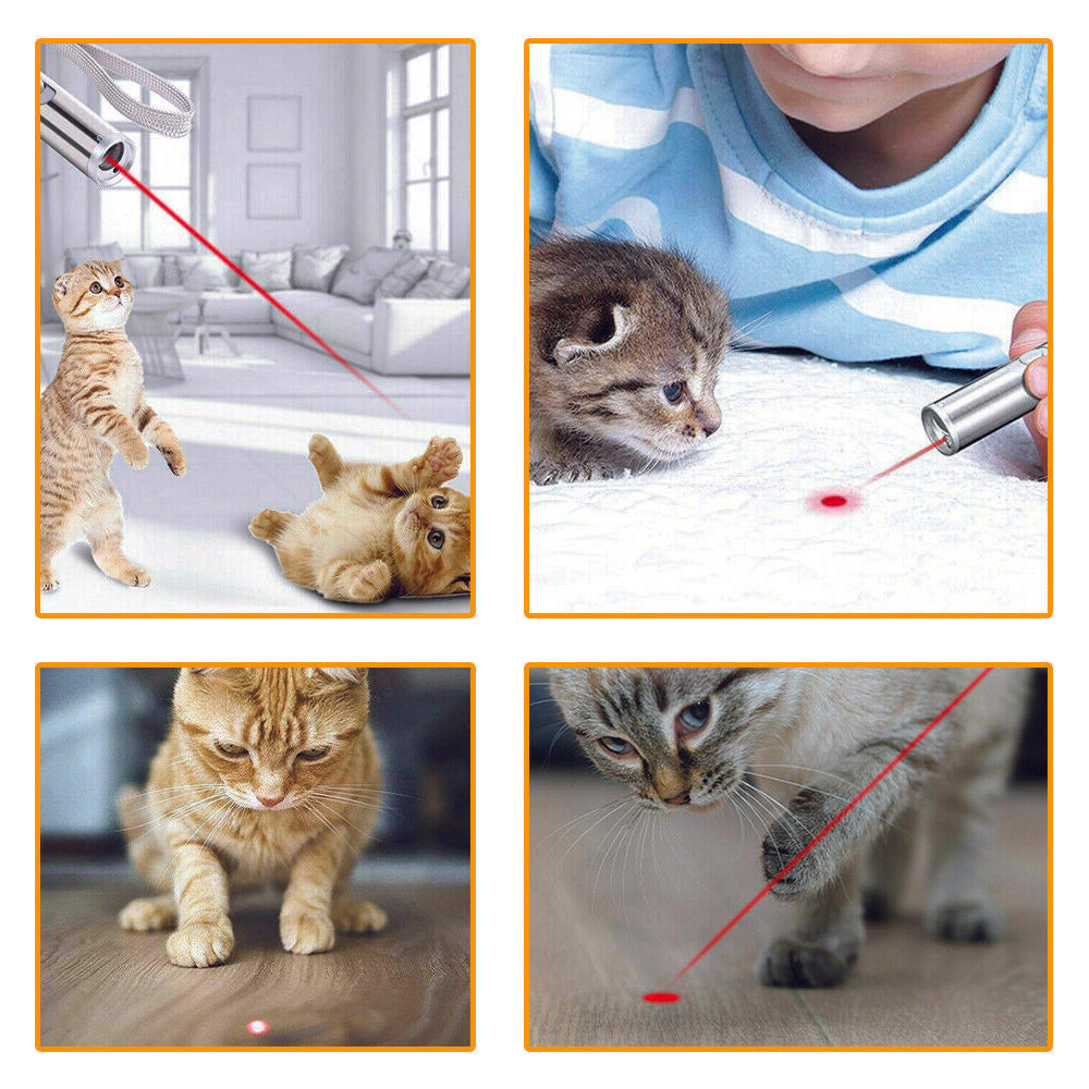laser pen for cats