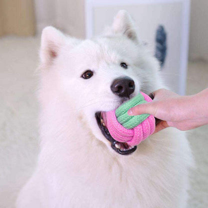 Pet Dog Chew Toys